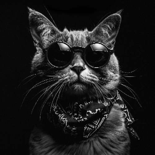 WILD_cyber